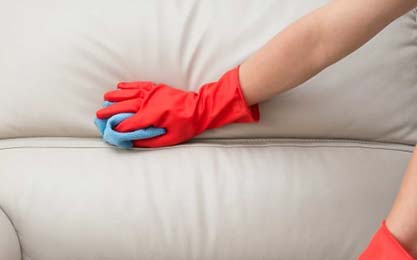 Fabric Sofa Cleaning Service
